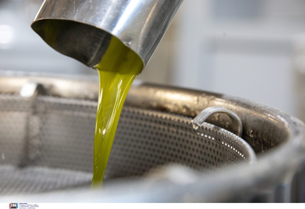 ΛΑΔΙ λάδι ΕΛΑΙΟΛΑΔΟ ελαιόλαδο