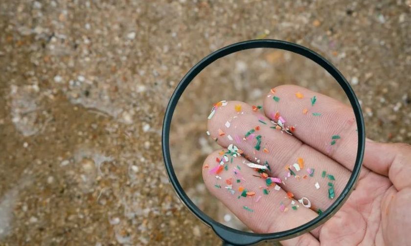 Τα μικροπλαστικά μπορεί να συσσωρεύονται περισσότερο στον εγκέφαλο παρά στα νεφρά ή στο συκώτι