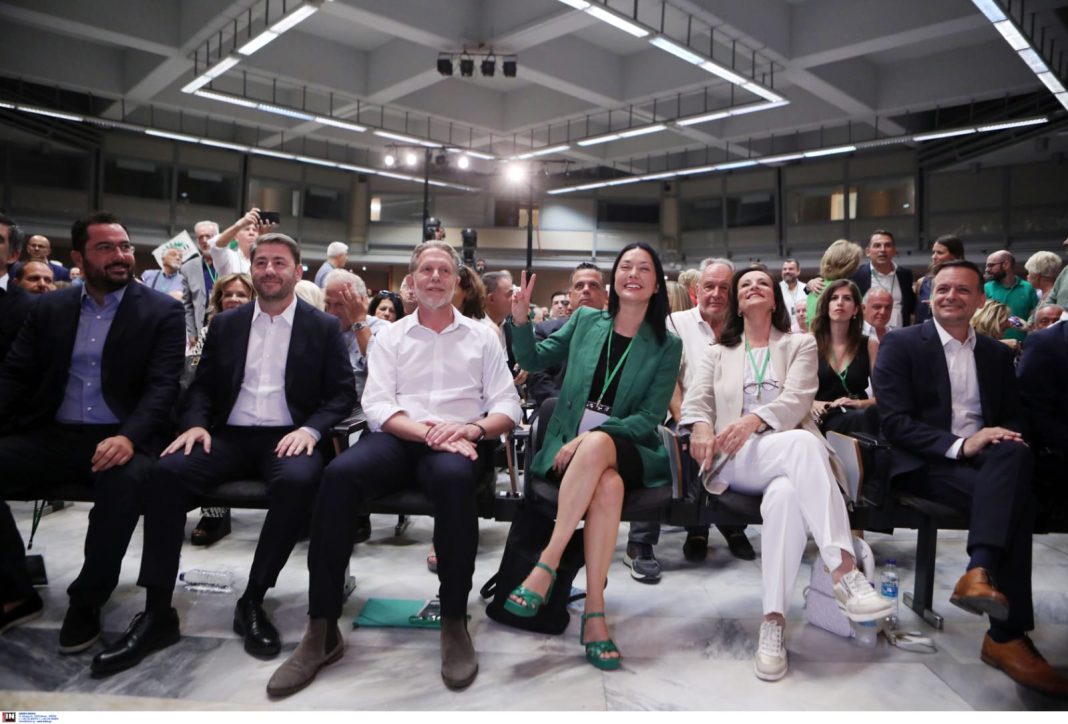 Το ΠΑΣΟΚ σε αποσύνθεση: Οι ευθύνες Ανδρουλάκη και το μέλλον στην Κεντροαριστερά