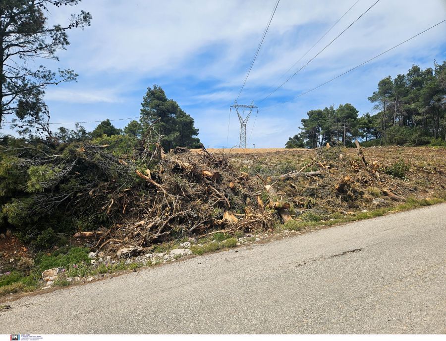 Καθαρισμός οικοπέδων ενόψει αντιπυρικής περιόδου – Πότε ανοίγει η πλατφόρμα