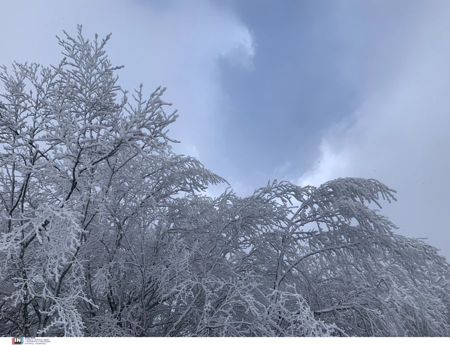 “Πνίγηκε” στο χιόνι η Βόρεια Ελλάδα – “Λευκή” Άνοιξη!