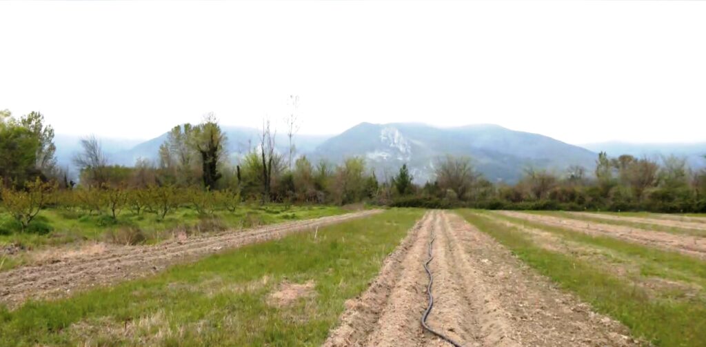 ΚΕΔΕ: Ζήτησε πάγωμα του ΠΔ για την οριοθέτηση οικισμών κάτω των 2. 000 κατοίκων